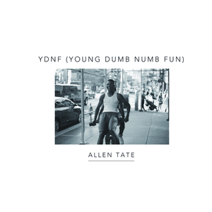 YDNF (Young Dumb Numb Fun)