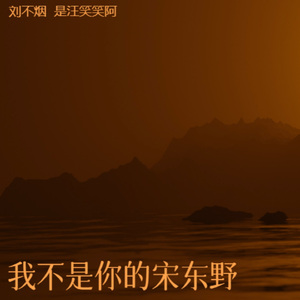 我不是你的宋东野