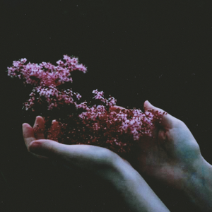 A Love Song for the Terminally Haunted (I Don't Want To Be Here Anymore)