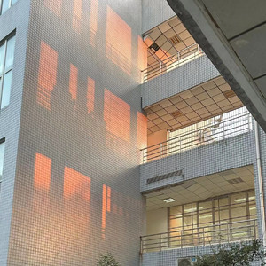 年年（治愈女声版）