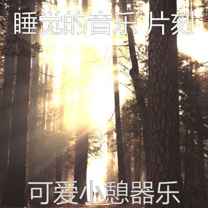 抚慰的睡眠回忆