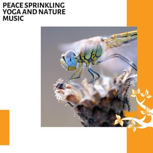 Burning Woods Relaxing Sound