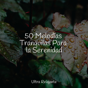 Relajado