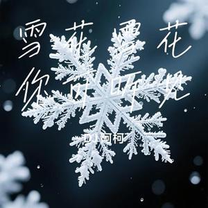 雪花雪花你可听见