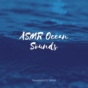 ASMR Ocean Sounds