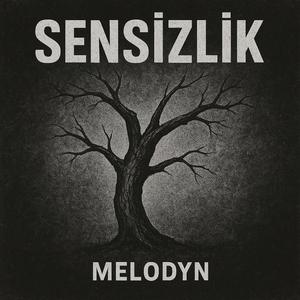 SENSİZLİK