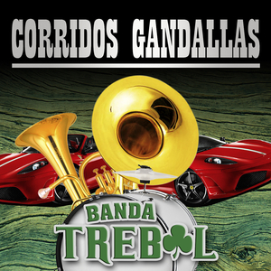 Olfateando El Animal