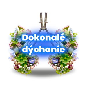 Dokonalé Dýchanie