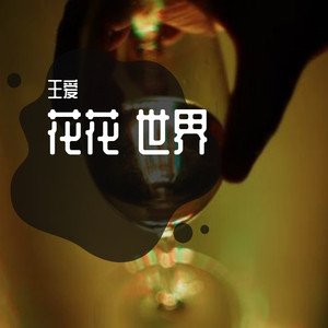 不要爱这花花世界，