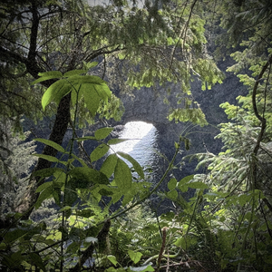 Where Are We Going (And Where Have We Been)