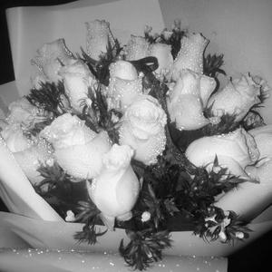 这个世界不会好（翻自 子默/郑好）