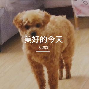 荒野的风吹过脸庞