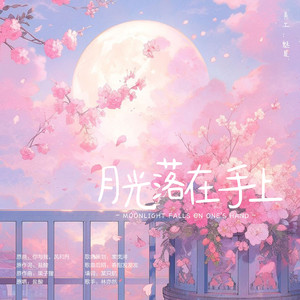月光落在手上