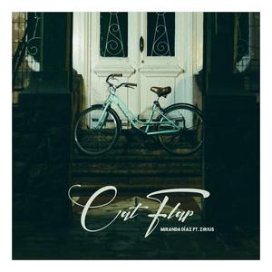 Cat Flap (feat. Zirius Dark)