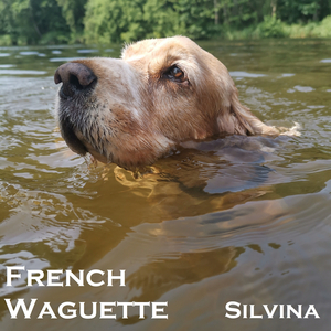French Waguette