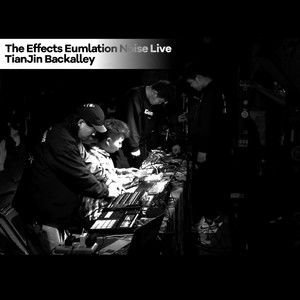 The Effects Eumlation Noise Live @ Tianjin Backalley