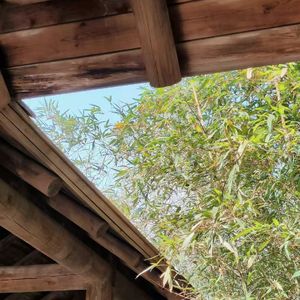 [FREE]‘反差’drill beat