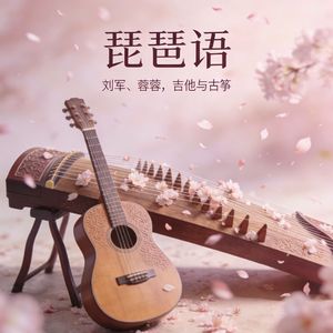 琵琶语吉他古筝版
