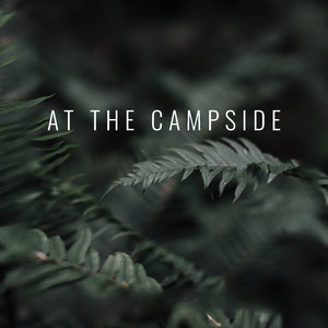 Needles on the Ground