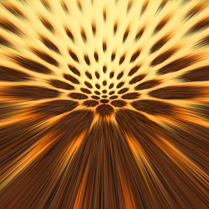 Begging For An Encore