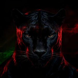 Critical（危机意识）