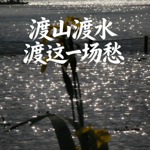 渡山渡水渡这一场愁