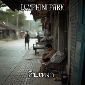 คืนเหงา