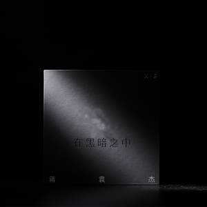 在黑暗之中