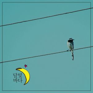 여름 달 아래