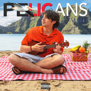 PELICANS