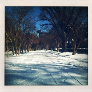 New Year's Resolutions