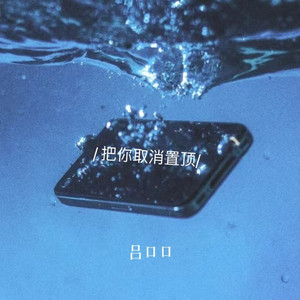 把你取消置顶 (伴奏)