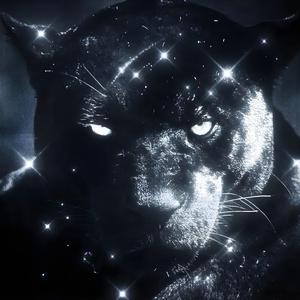 STATIC (Super Sped Up)