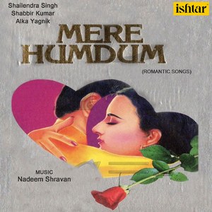 Hum Tere Deewane Hai