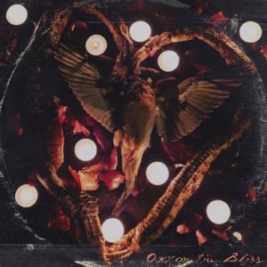 OxyContin Bliss