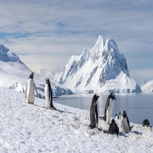 antarctica music