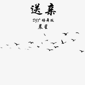 送亲 (Dj广场舞版伴奏)