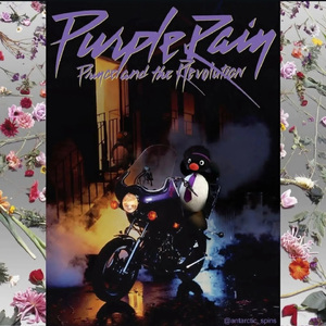 Purple Rain
