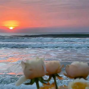 把春天装进口袋