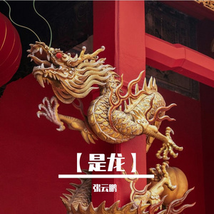 是龙