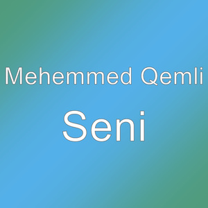 Seni