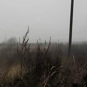 Меланхолия