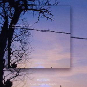 那年花开的声音