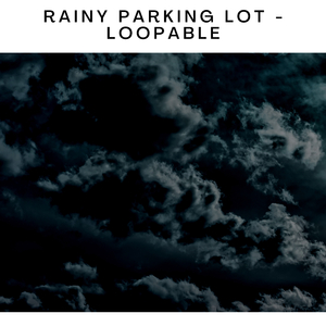 Rain Forest Meditation