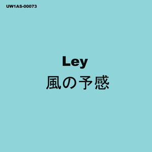 風の予感