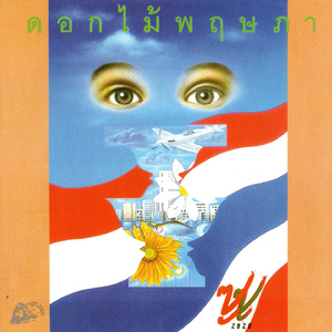 นกสีตะกั่ว