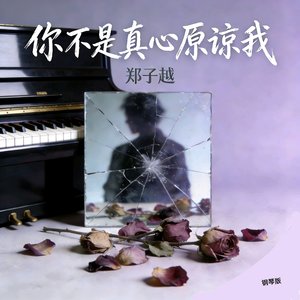 你不是真心原谅我（钢琴版）