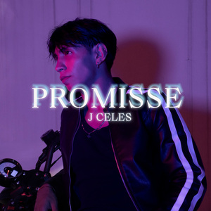PROMISSE