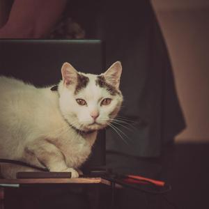 Lydia from the Trees