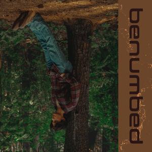 BENUMBED
